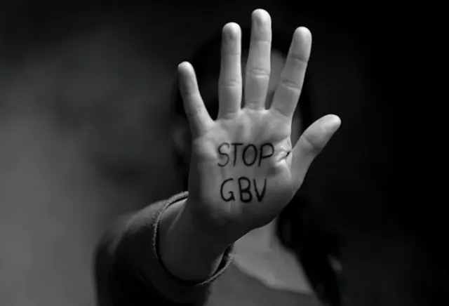 GBV Management System — Government Project